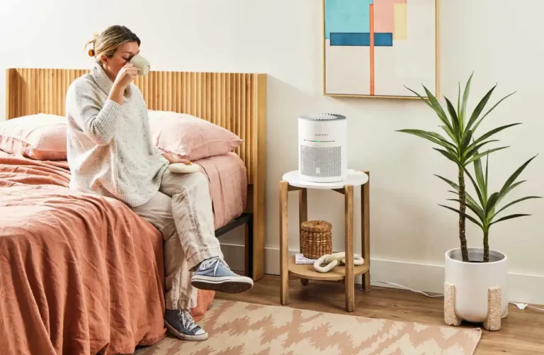 Best Air Purifiers for Mold