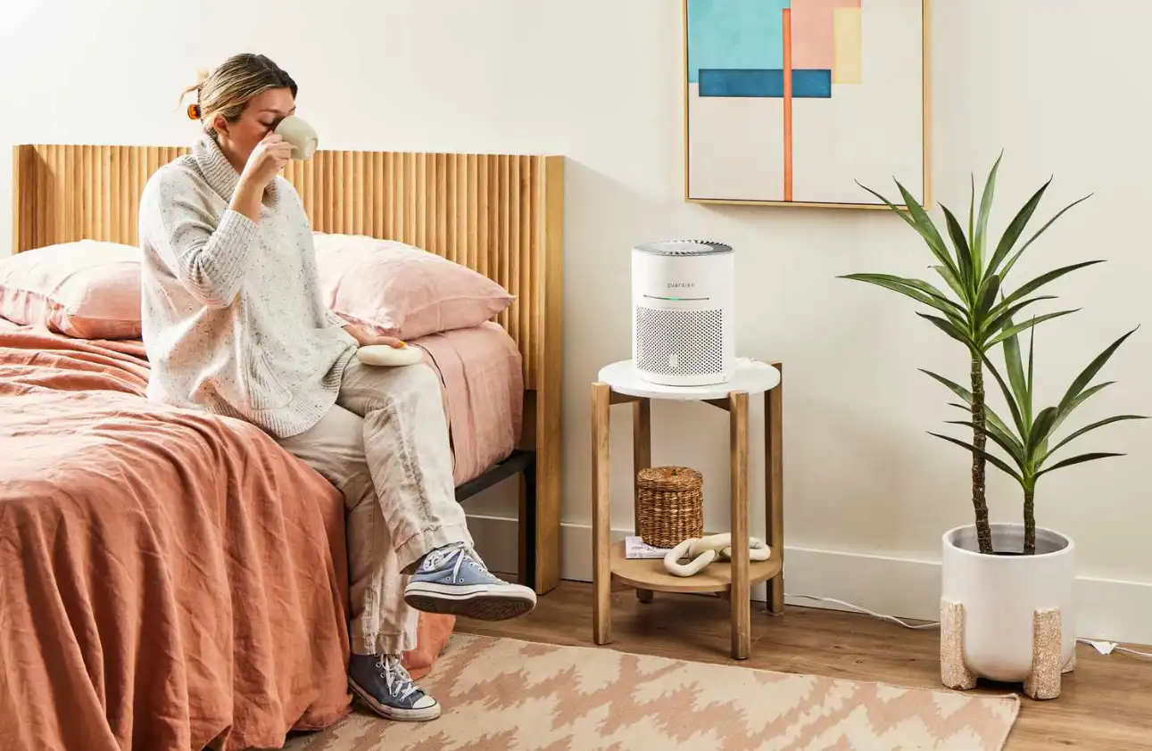 Best Air Purifiers for Mold