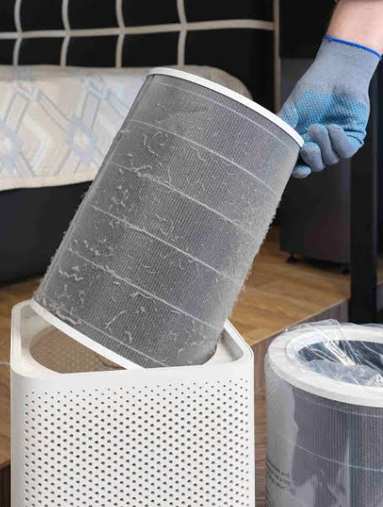 Air Purifiers Help With Dust