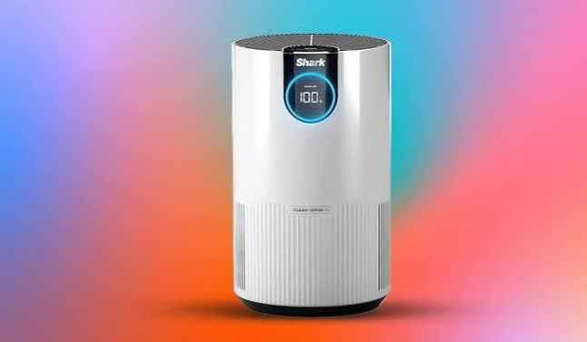 Best Air Purifier for Odors