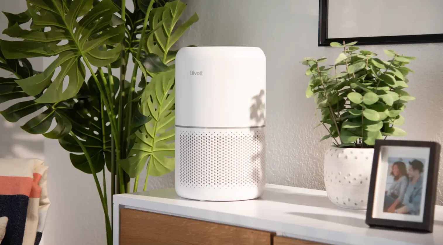 Levoit Air Purifier Reviews