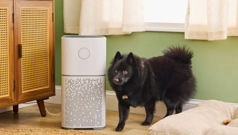 The Best Air Purifiers for Pet Odor, Hair, and Dander
