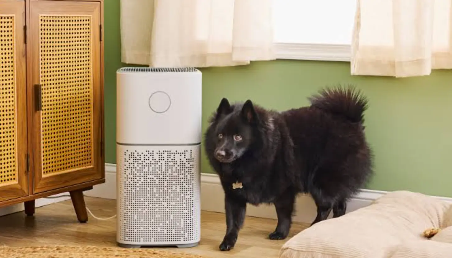 The Best Air Purifiers for Pet Odor, Hair, and Dander