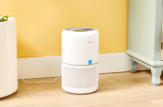 Best Air Purifier for Asthma