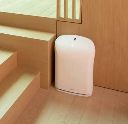 Best Air Purifier for Basement