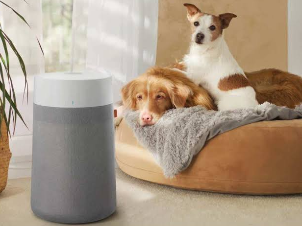 Best HEPA Air Purifier for Pet Allergies