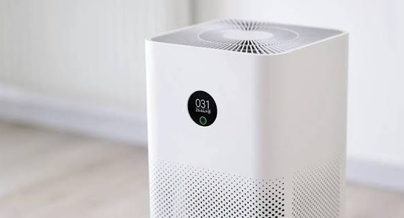 Can an Air Purifier Help With Mold