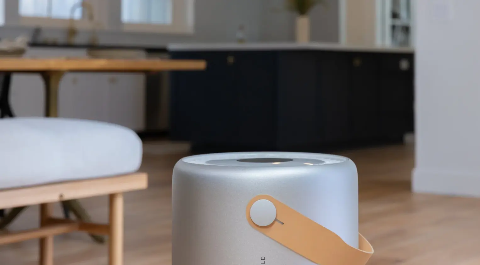 do air purifiers help with mold